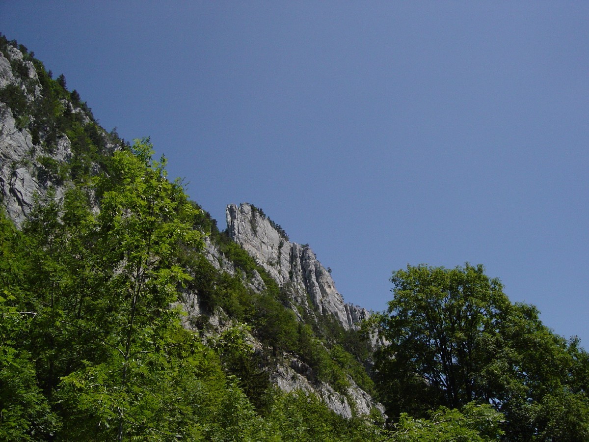 Le "Schilt" dans le Jura Suisse.