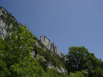 Le "Schilt" dans le Jura Suisse. Le "Schilt" dans le Jura Suisse.