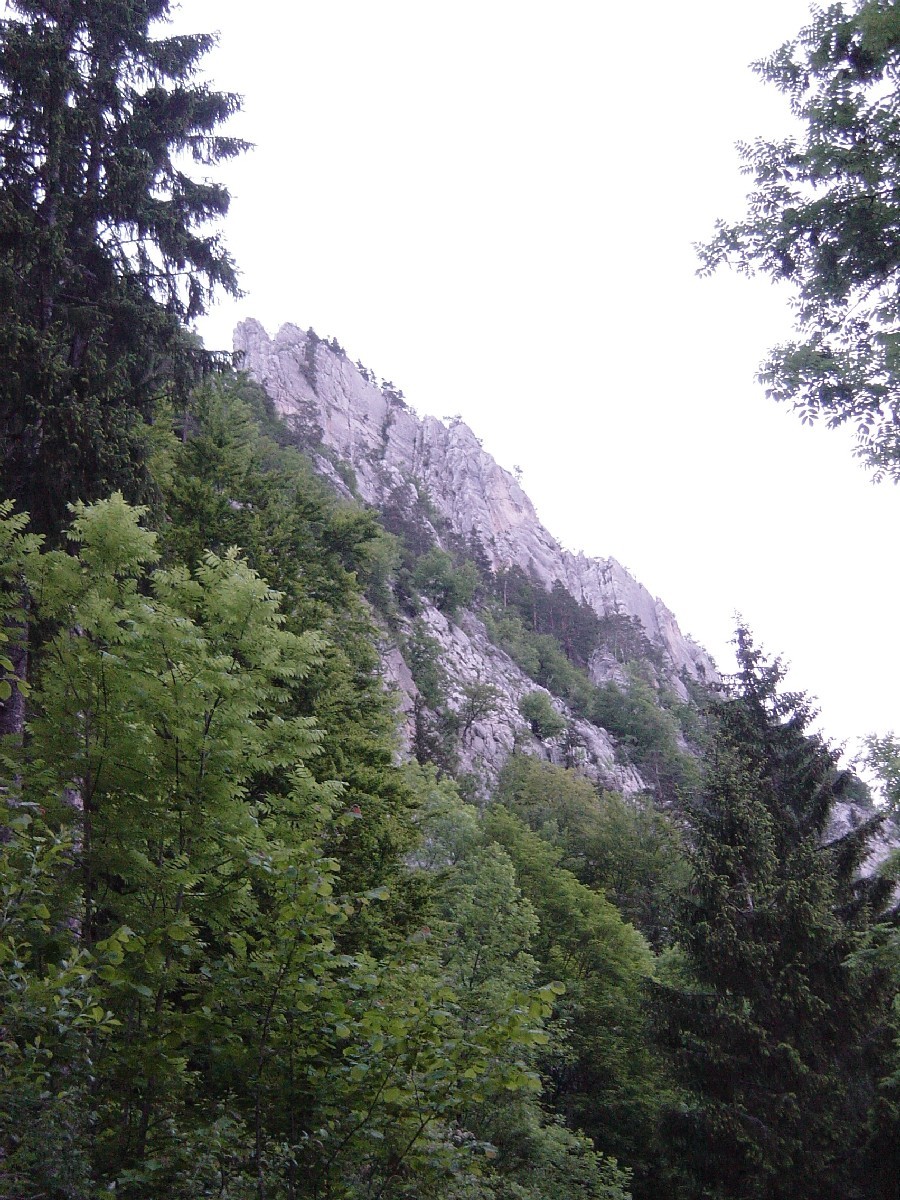 Le "Schilt" dans le Jura Suisse.