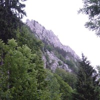 Le "Schilt" dans le Jura Suisse.