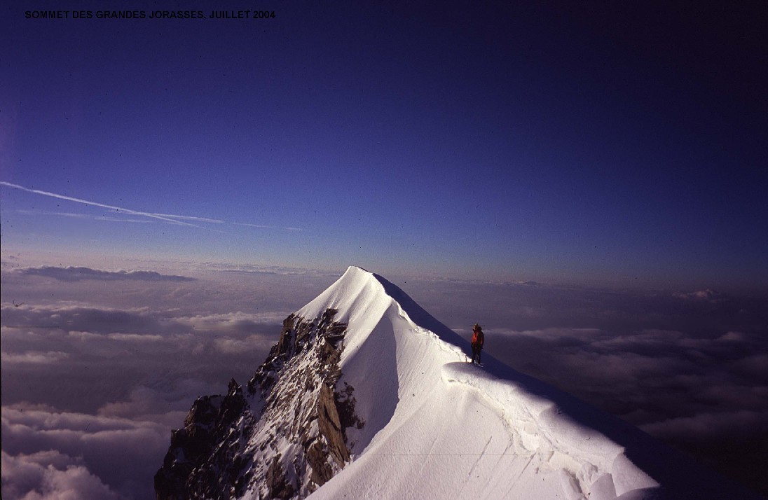 Sommet de la Pointe Walker, vue vers le sud