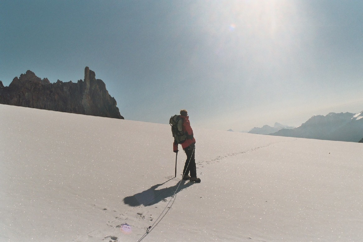 Dandy à l'aube sur le Glacier de Saleina