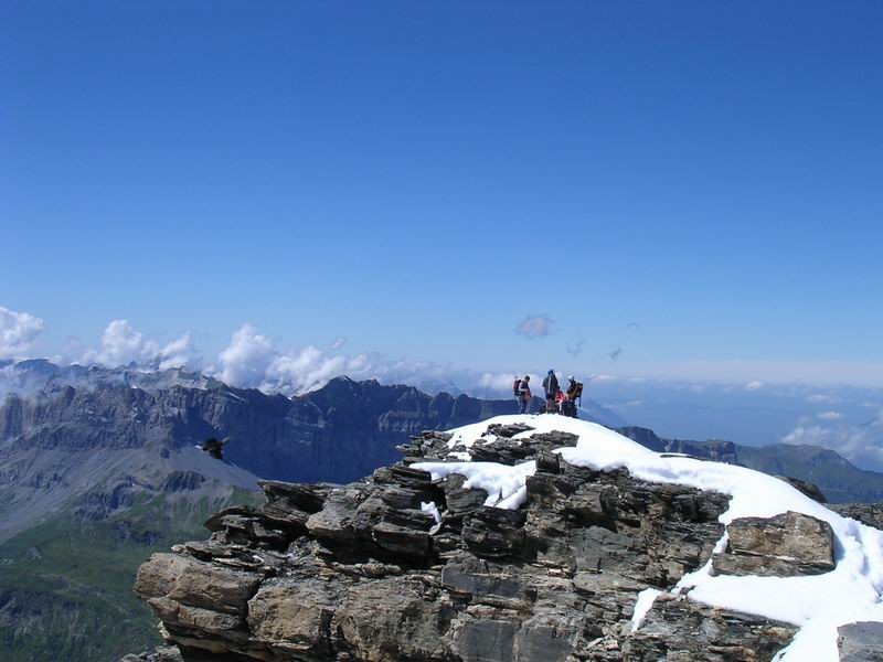 Au sommet de l'Aiguille du Belvédère