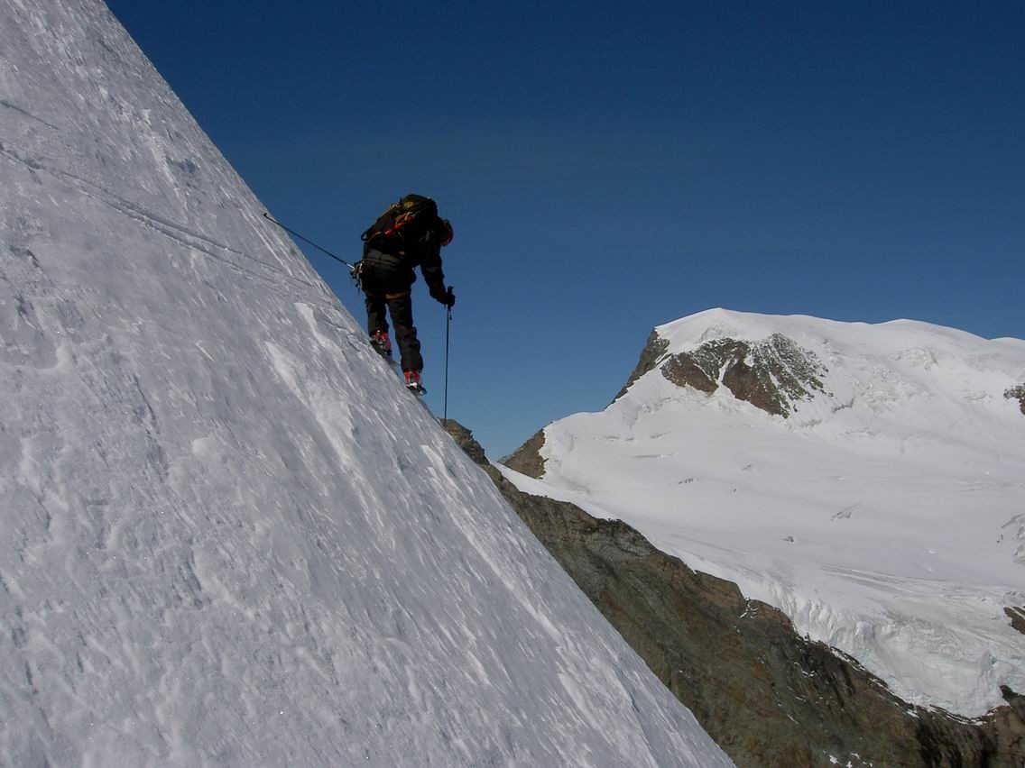 Cardol sous le nez de la face