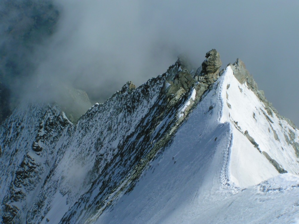 Arista E Weisshorn