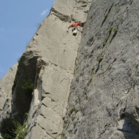 La Lopo, classique de la Mature