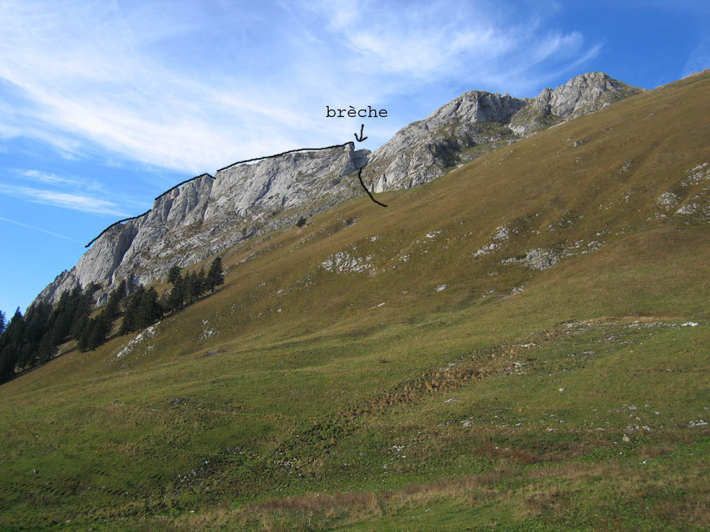 Canicula
