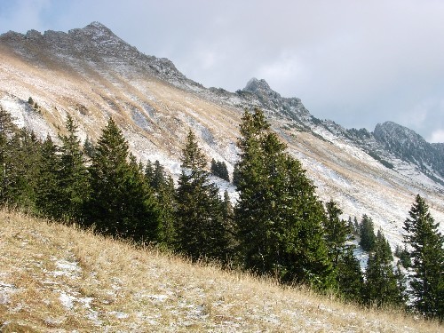 Cape au Moine