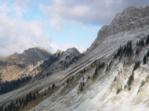 Dent Lys - Vanil des Artses