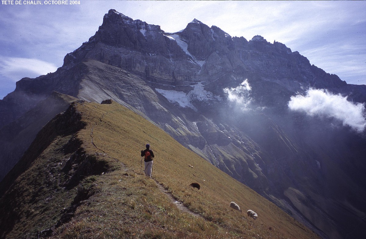 Tête de Chalin