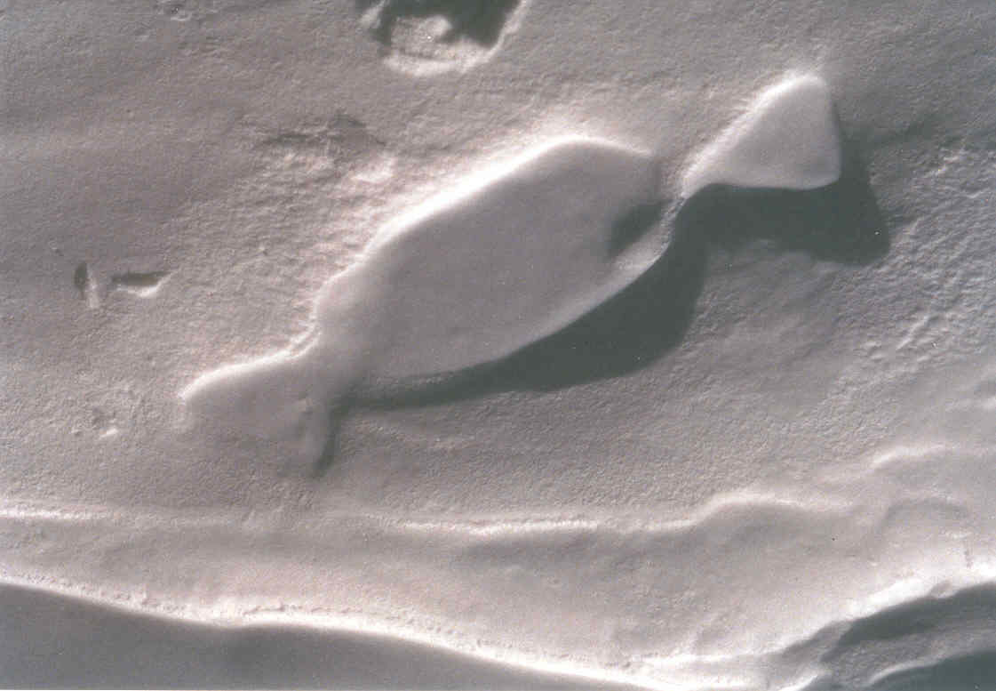 Etrange formation de neige