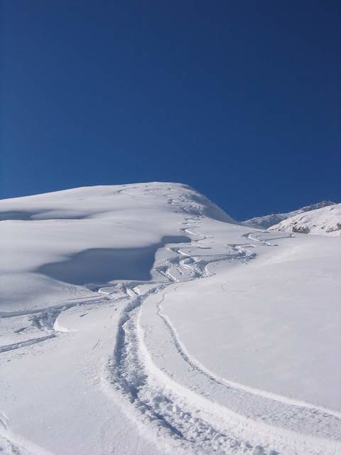 Premières traces