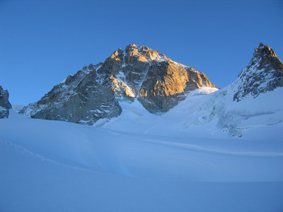 Chardonnet