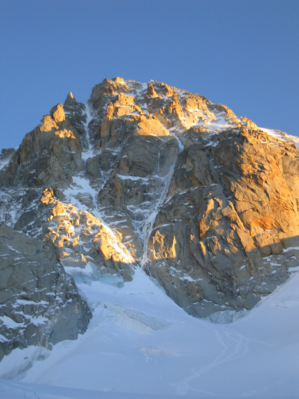 Chardonnet