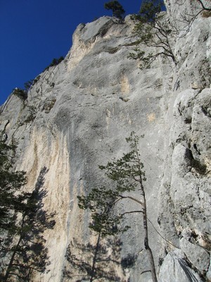 Secteur " L'Empereur " au Schilt, Suisse. Secteur " L'Empereur " au Schilt, Suisse.