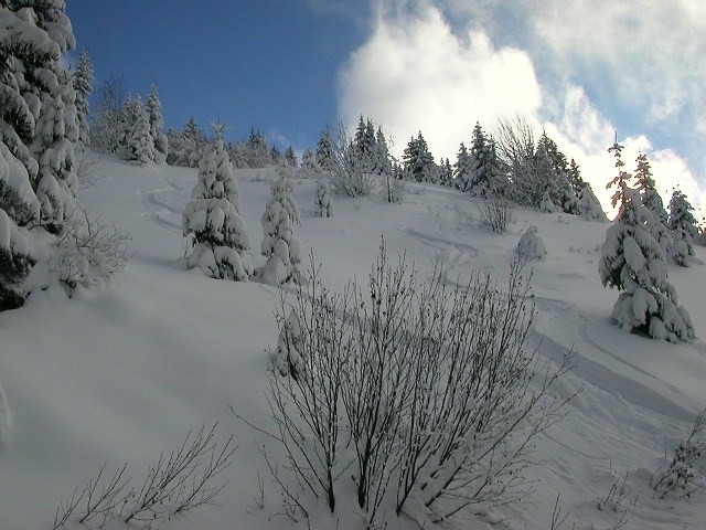 Descente de la Tete de Sallaz