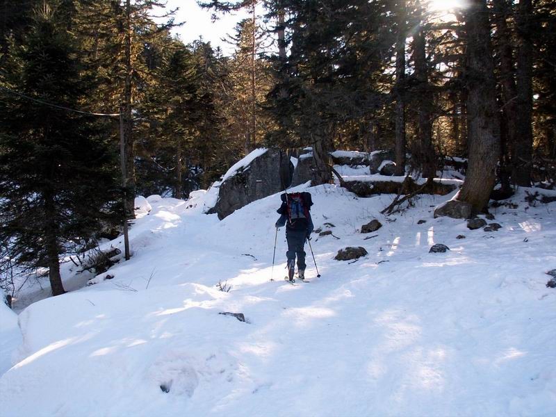 En montant vers le refuge des Oulettes