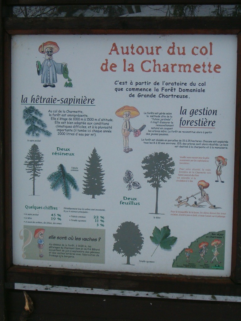 Tout savoir sur les hetres, épicéas et autres essences de chartreuse.