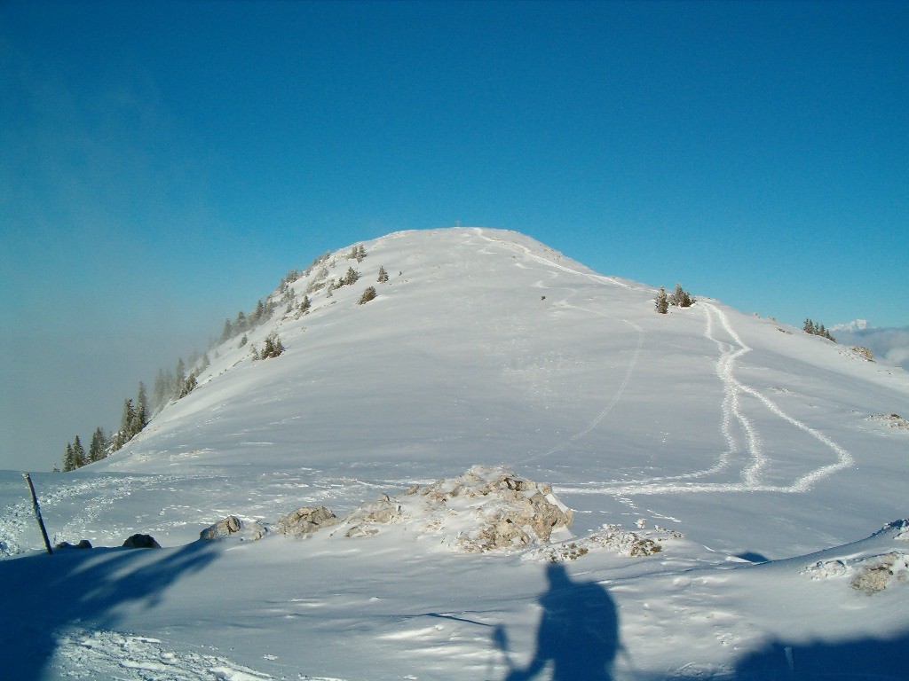 Du bon ski....