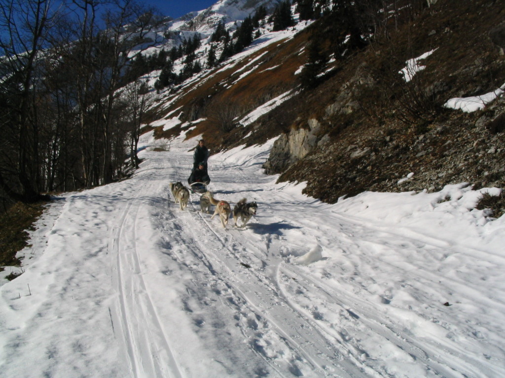 remontée en direction du col de la Colombière