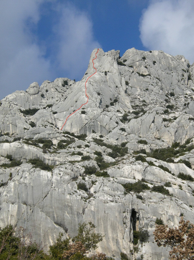 l'arête vue de face