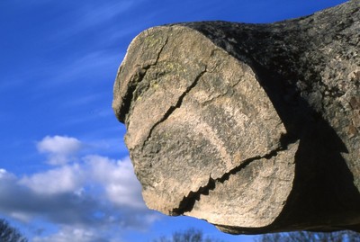 grès ou tronc d'arbre? grès ou tronc d'arbre?