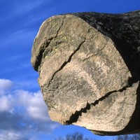 grès ou tronc d'arbre?