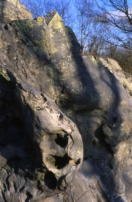L'archétype du grès L'archétype du grès