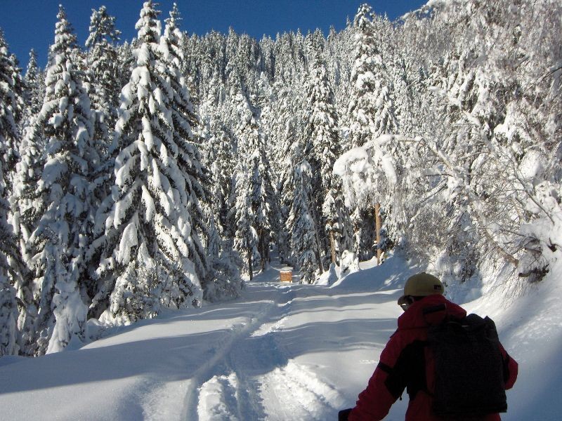 Montée au Mt.Rosset. Le soleil nous accueille juste apres le pont de la Gitte