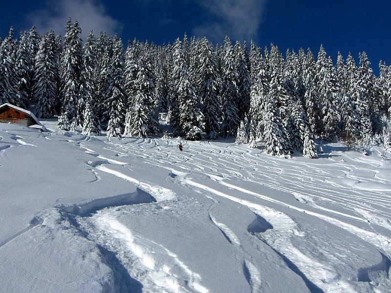 Pur bonheur. Descente du Mt.Rosset, vers la Gitte.