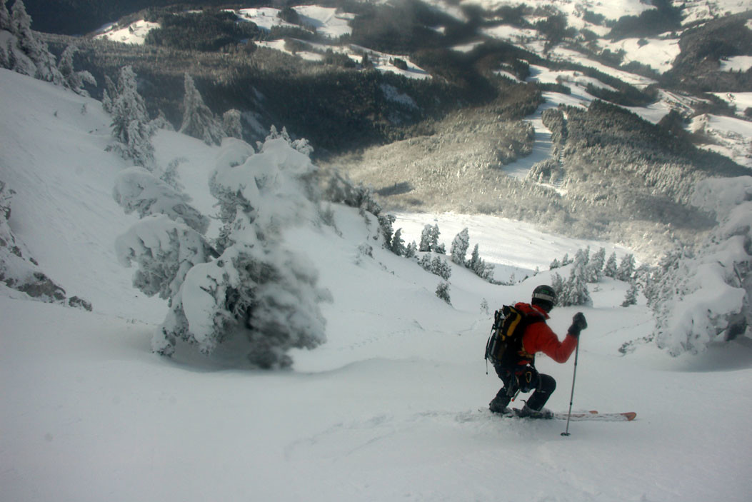 Dans le haut de la face