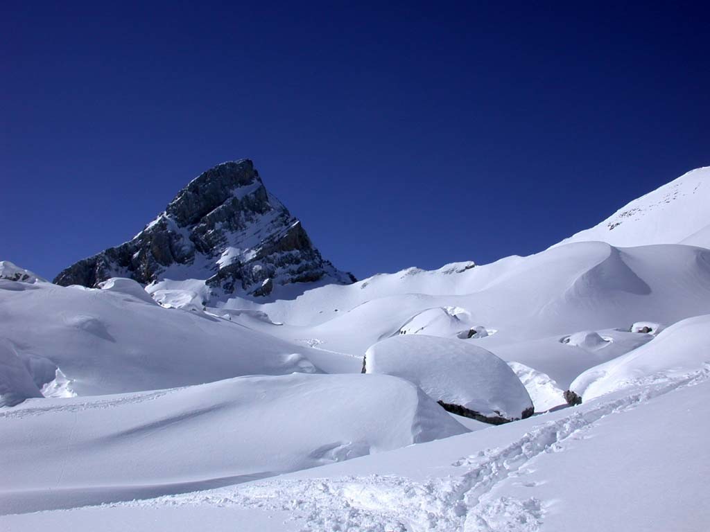 Pointe Blanche