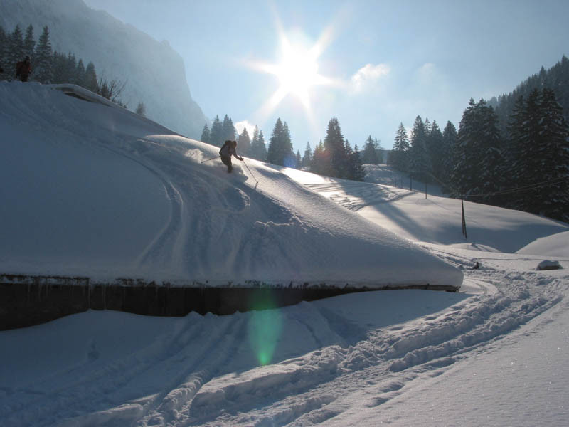 Ski de chalet