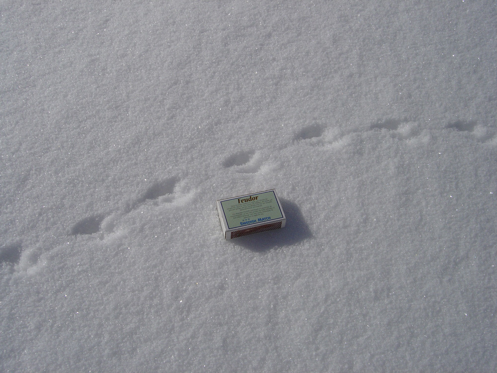 Traces d'hermine