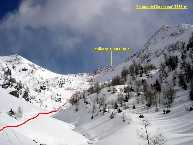 Palone del Sopressà