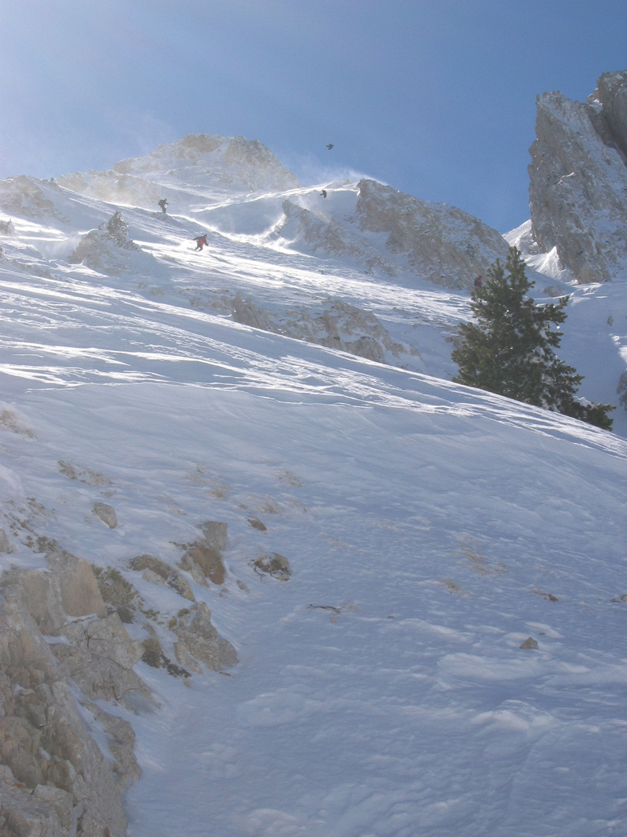 Pentes N du Grand Veymont