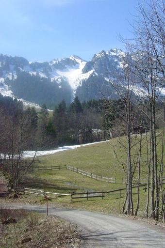 la combe sous Chauffes Floras