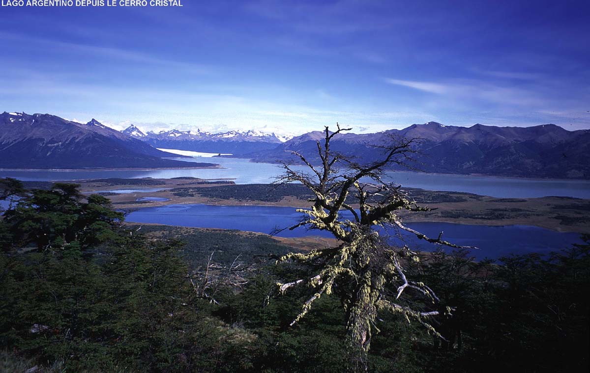 Lago Roca et Perito Moreno, vus du Cerro Cristal