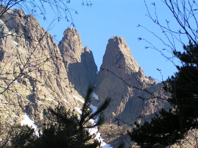 colonnes de marcia, asco