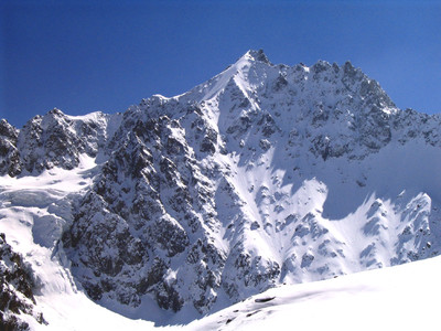 Les agneaux