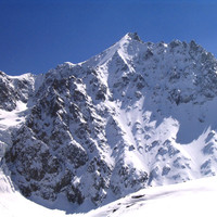 Les agneaux