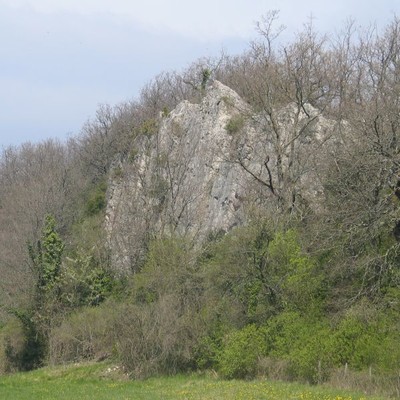 Crest :: Les Roches Crest :: Les Roches