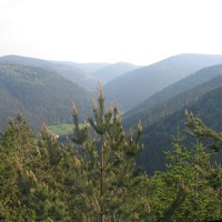 Muhlberg :: Mossig