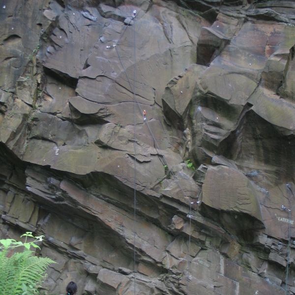 Isenberg