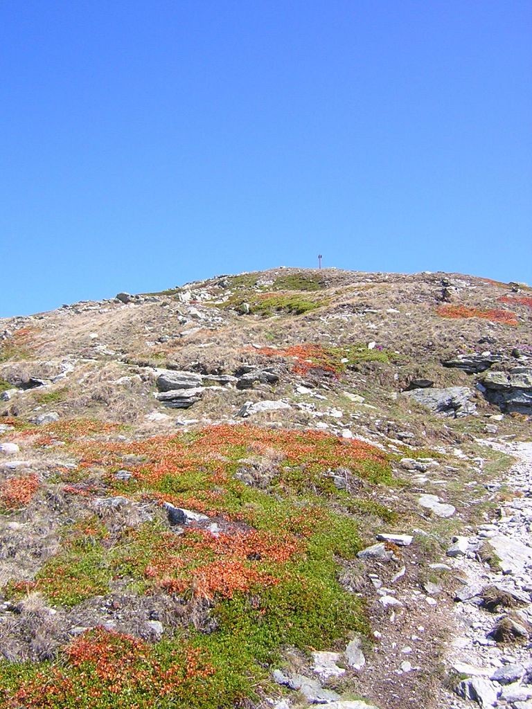 sommets du Illhorn