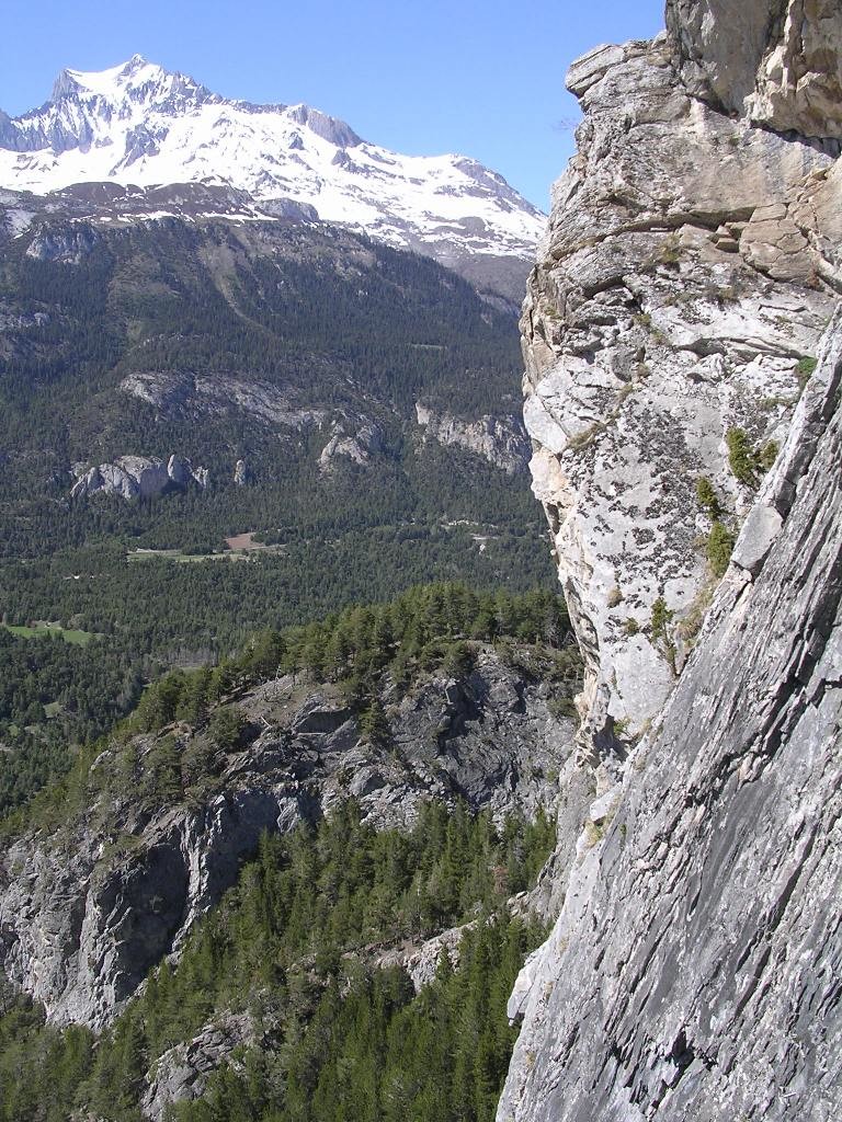 plan chatel avec la dent parraché...