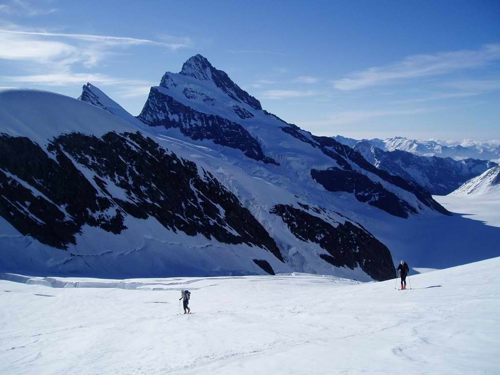 Vue sur Finsteraarhorn- En montant à l'Hinterfiescherhorn