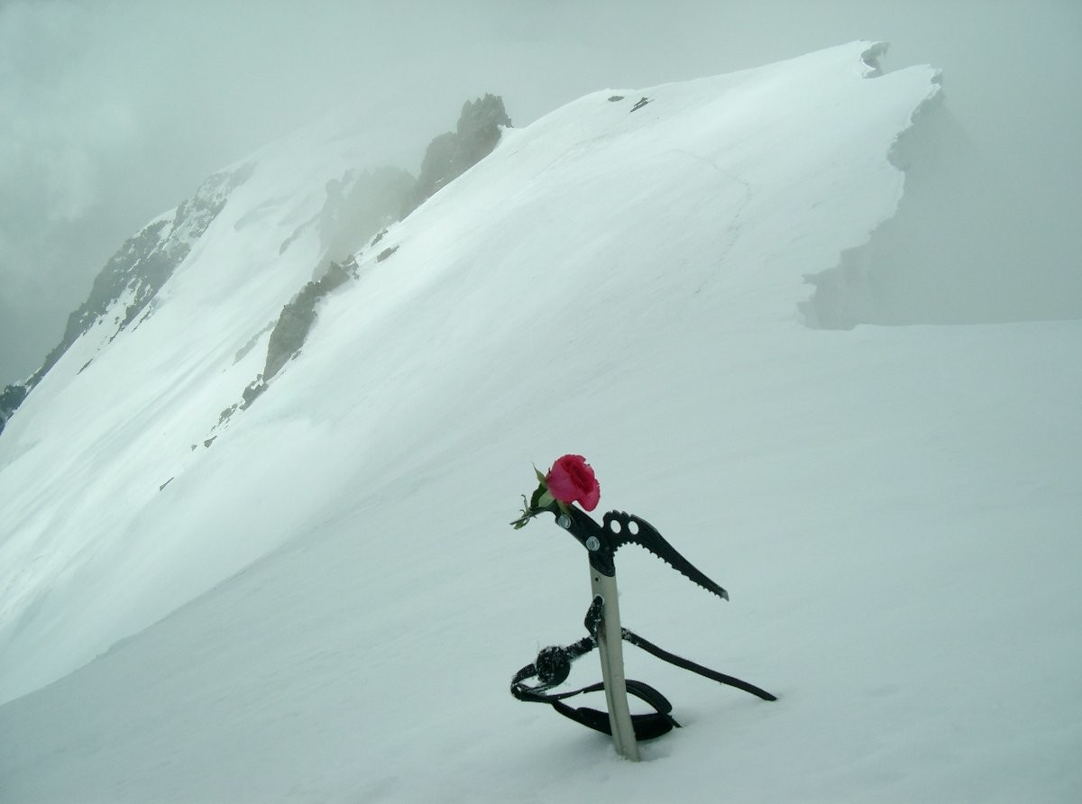 Les brumes autour du Mont Blanc et une rose rouge pour l'Innominata