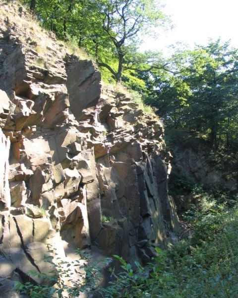 Isenberg