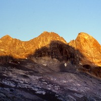 soreiller-rouget rougeoyant